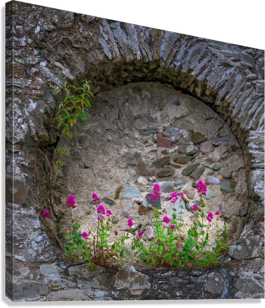 The Stone Ring Canvas Print