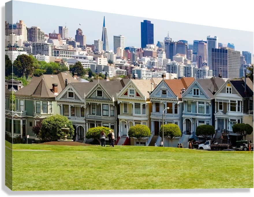 Painted Ladies.