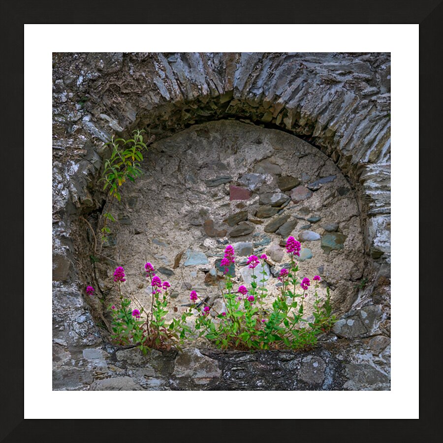 The Stone Ring Picture Frame print