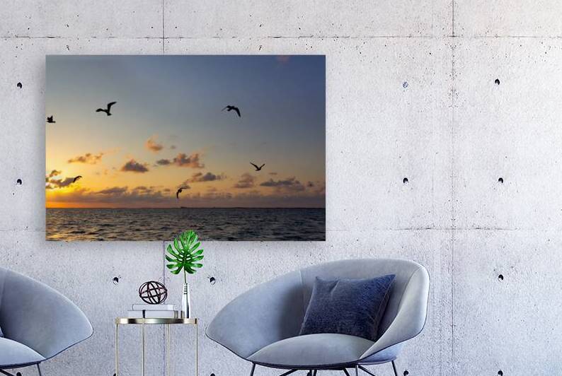 Sunset for the Birds. by Eric Franks