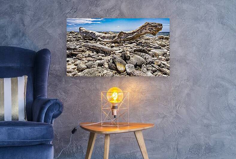 Tree Trunk Washed Up On A Rocky Beach. Bonaire. by Eric Franks