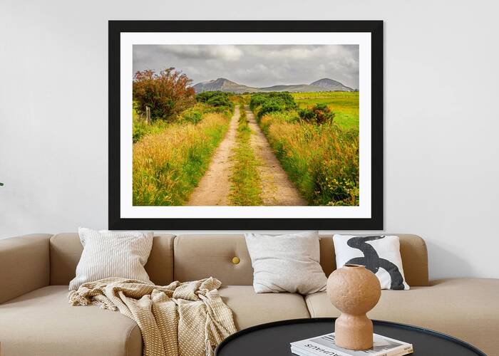 Where the Road Meets the Sky. Reproduction