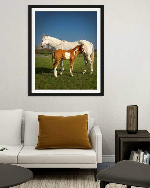 White Mare And Foal. Reproduction