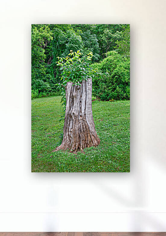 The Stump by Eric Franks