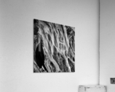 Dead Tree Textures Acrylic Print
