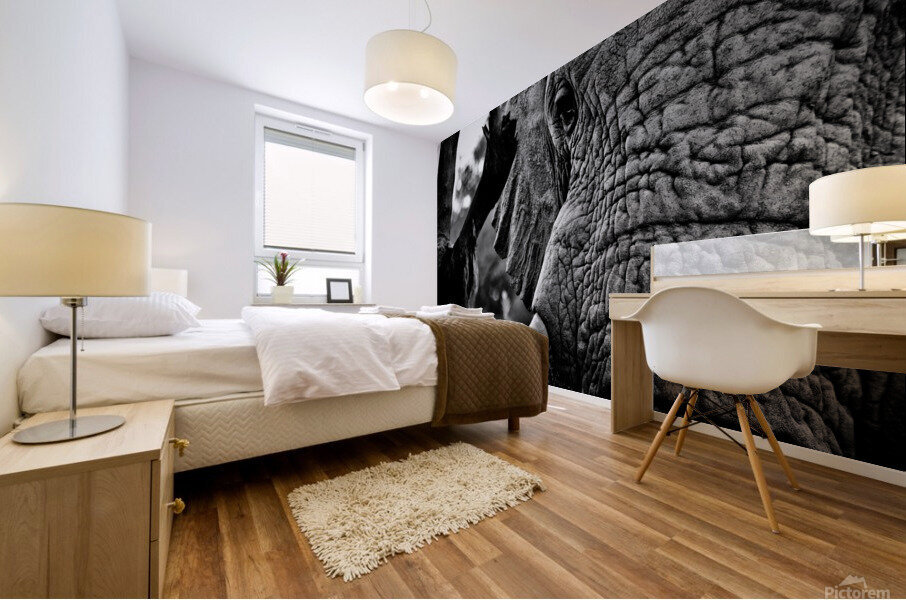 Elephant Close Up Mural print
