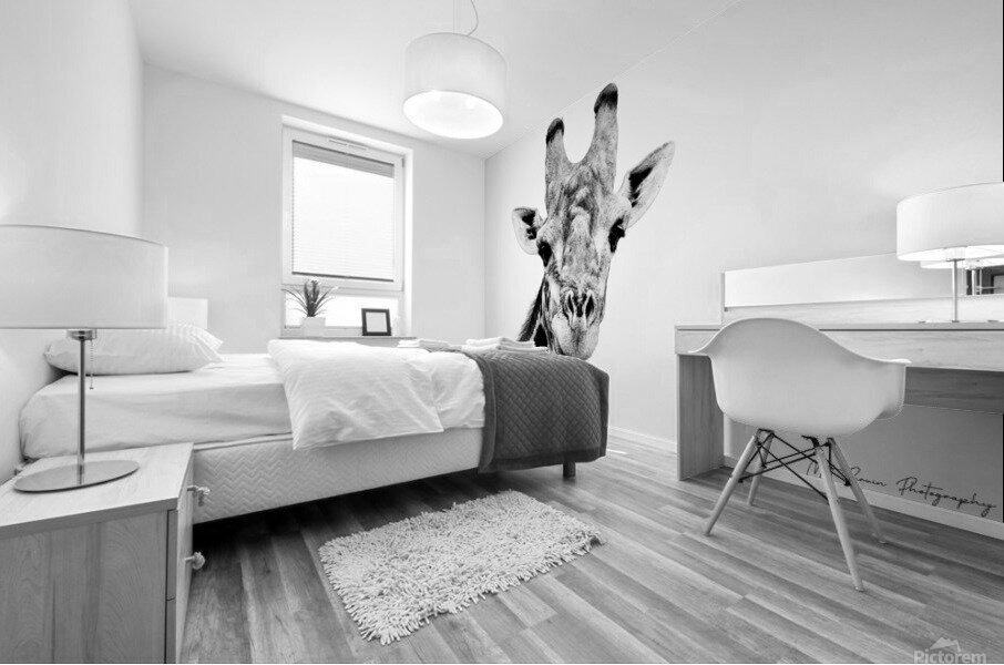 Giraffe Black and White Mural print