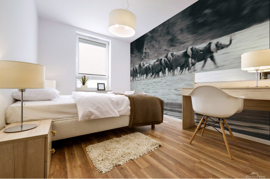 Elephant Stampede Mural print