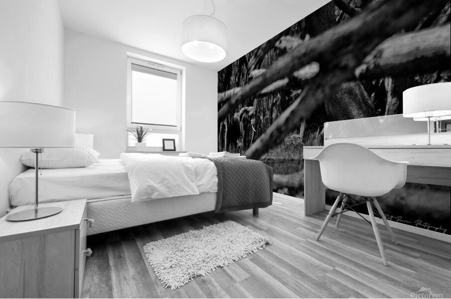 Elephant Abstract Mural print
