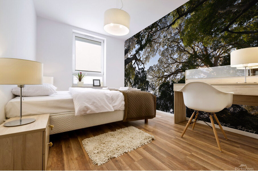 Tree tops Mural print