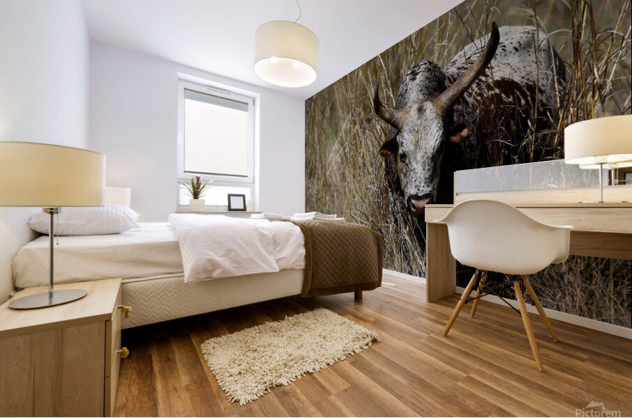 Nguni Cow Mural print
