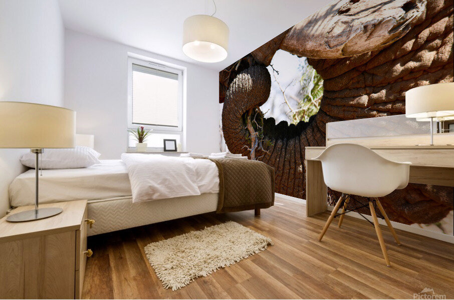  Elephant Trunk Mural print