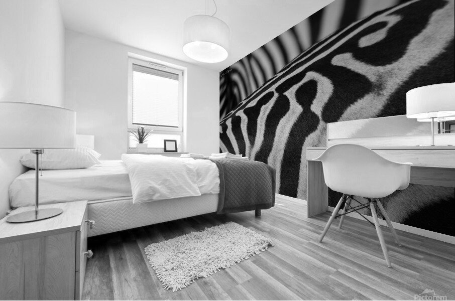  Zebra Close up back Mural print