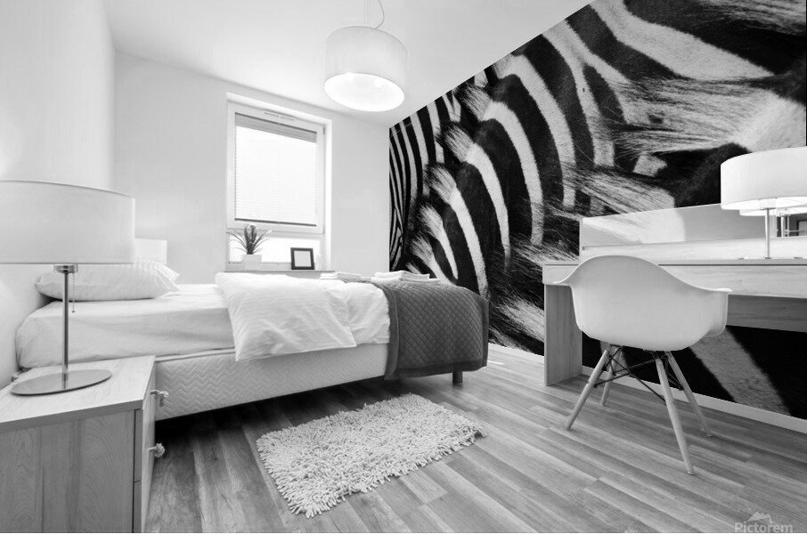  Zebra Close manes Mural print