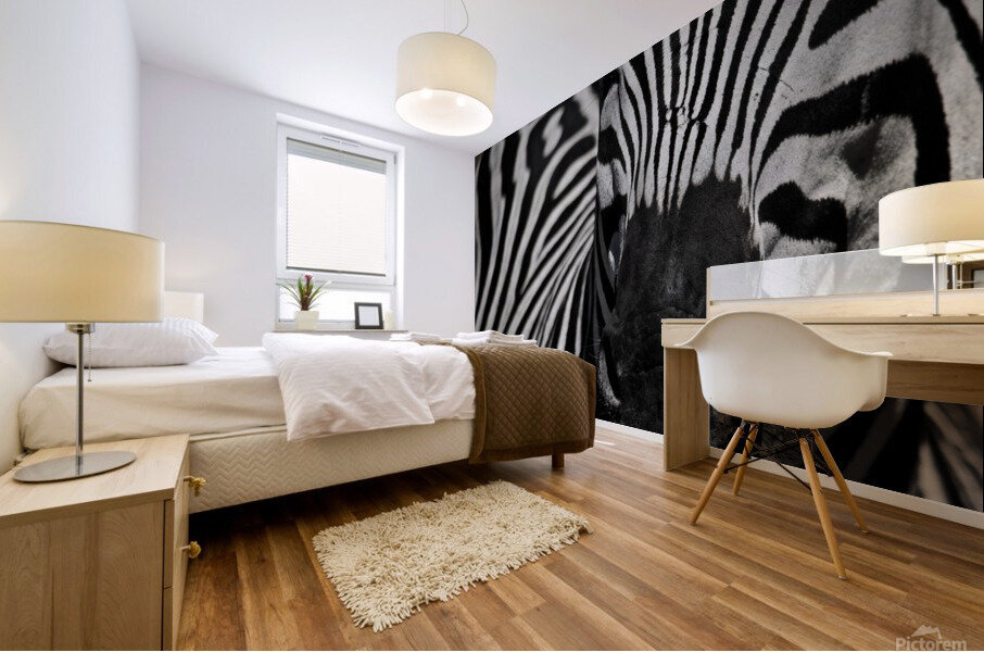  Zebra close-up Front Mural print