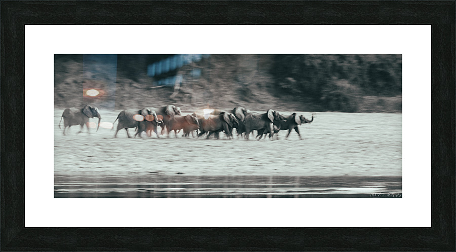 Elephant Stampede Picture Frame print
