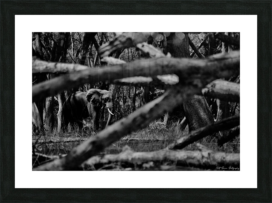 Elephant Abstract Picture Frame print