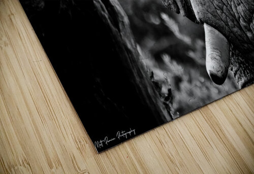 Elephant Close Up Matt Parvin Photography puzzle