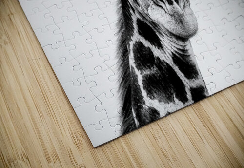 Giraffe Black and White Matt Parvin Photography puzzle