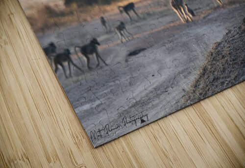 Baboon Sentry Matt Parvin Photography puzzle