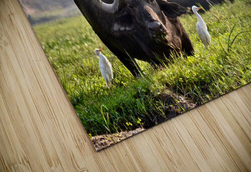 Zambezi Buffalo  Matt Parvin Photography puzzle