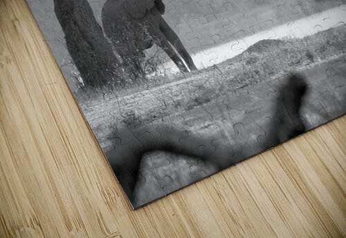 Elephant Black & White  Matt Parvin Photography puzzle