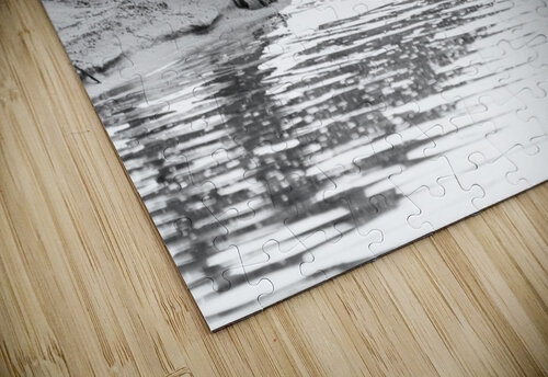 Zambezi Crocodile  Matt Parvin Photography puzzle