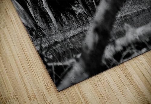 Elephant Abstract Matt Parvin Photography puzzle