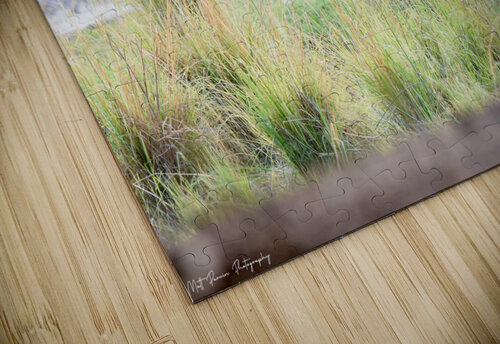 Waterbuck Posing Matt Parvin Photography puzzle