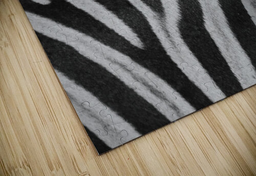  Zebra Close up back Matt Parvin Photography puzzle