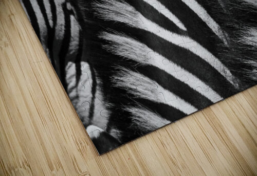  Zebra Close manes Matt Parvin Photography puzzle