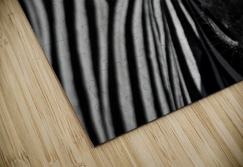  Zebra close-up Front Matt Parvin Photography puzzle