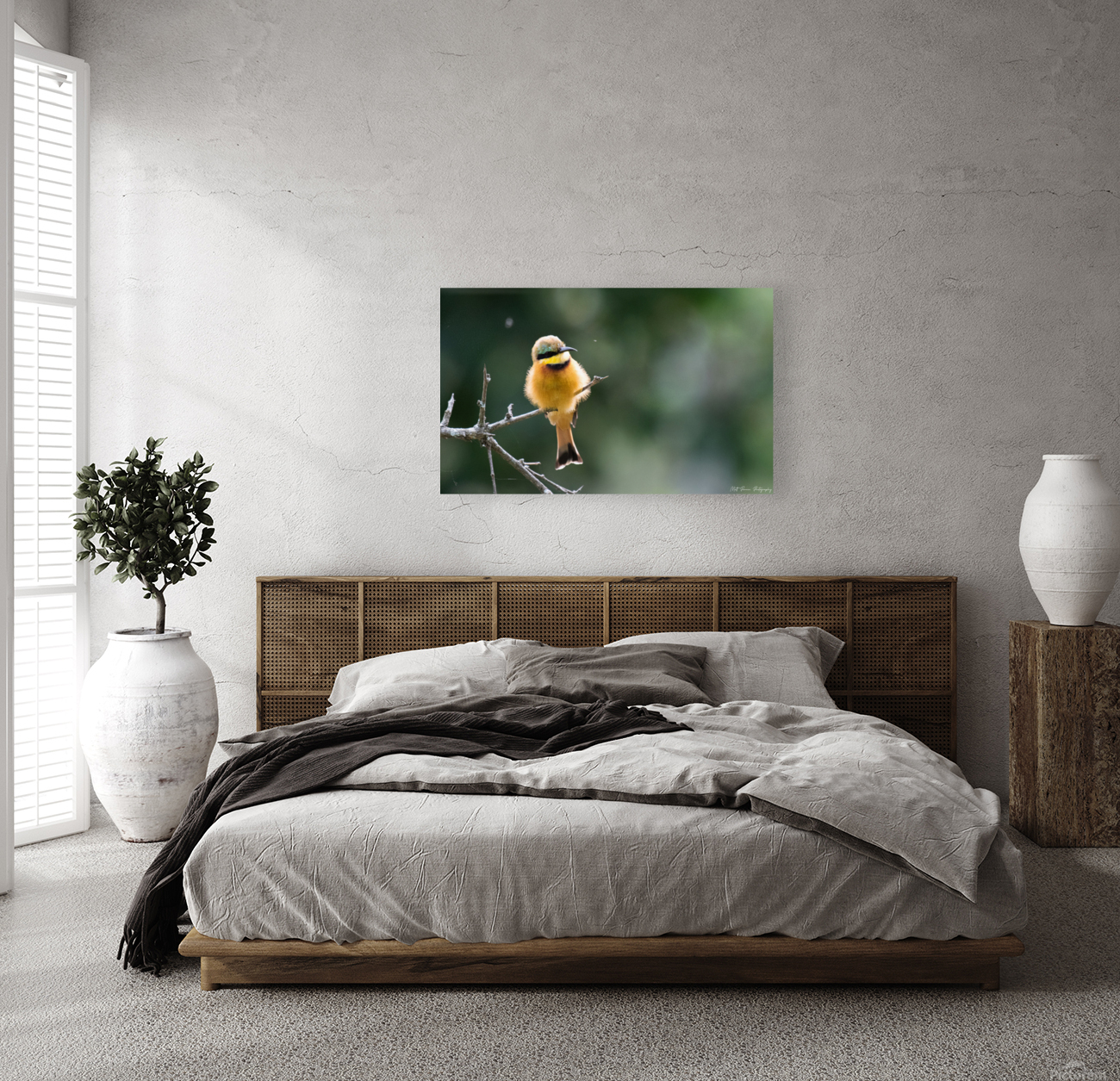 Little Bee-eater Reproduction