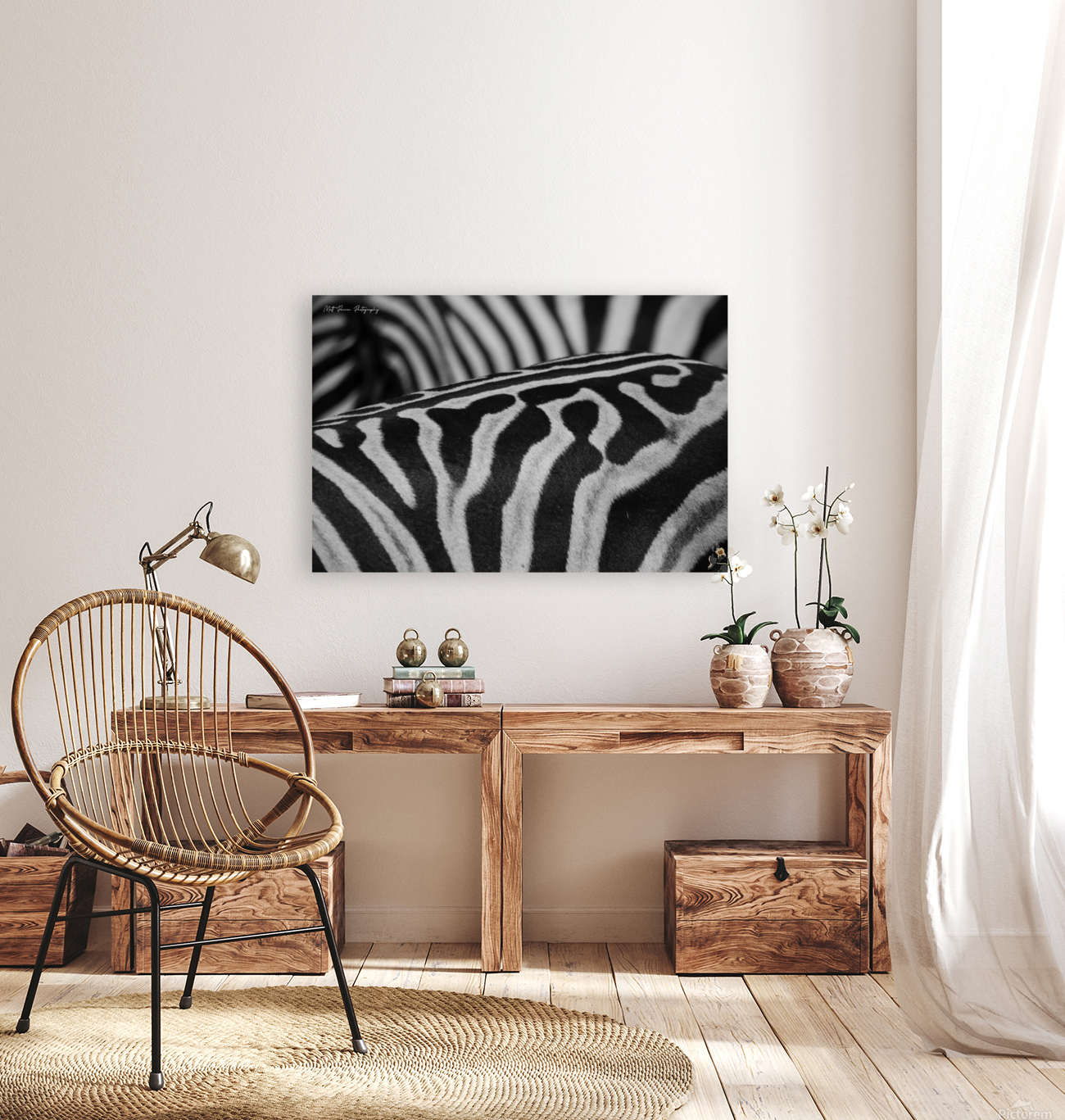  Zebra Close up back Reproduction