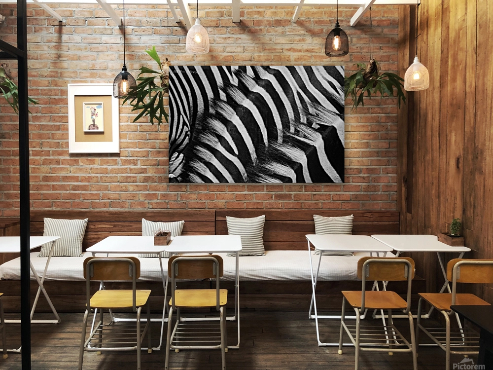  Zebra Close manes Reproduction