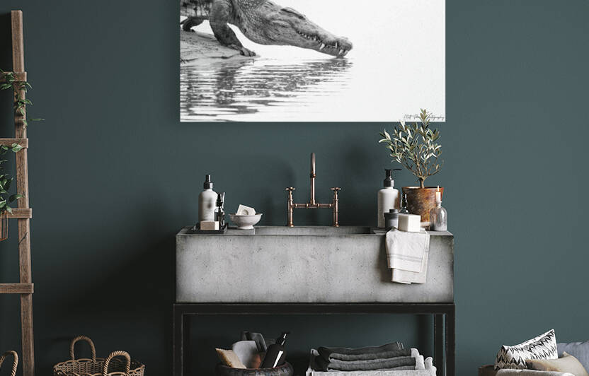 Zambezi Crocodile  by Matt Parvin Photography