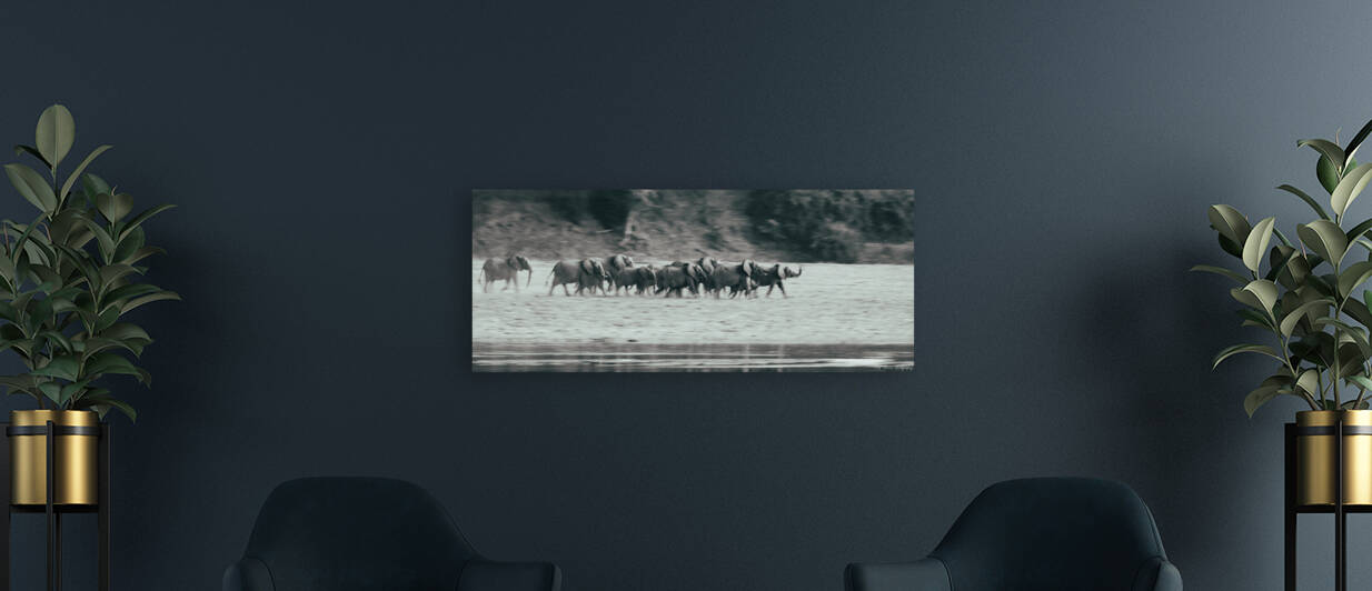 Elephant Stampede by Matt Parvin Photography
