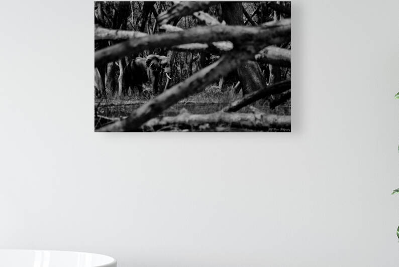 Elephant Abstract by Matt Parvin Photography