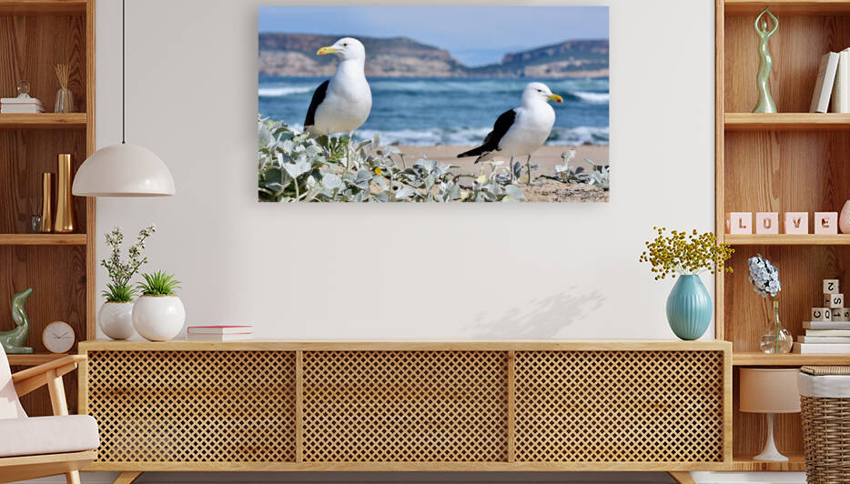 Seagulls by the sea shore by Matt Parvin Photography