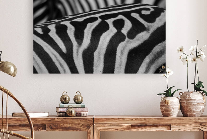  Zebra Close up back by Matt Parvin Photography
