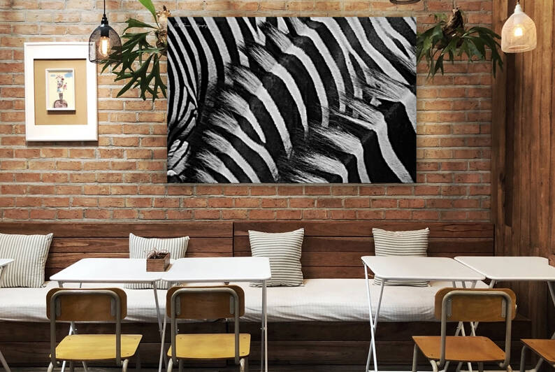  Zebra Close manes by Matt Parvin Photography