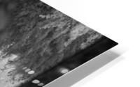 Elephant Black & White  HD Metal print