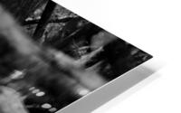 Elephant Abstract HD Metal print