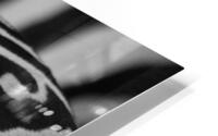  Zebra Close up back HD Metal print