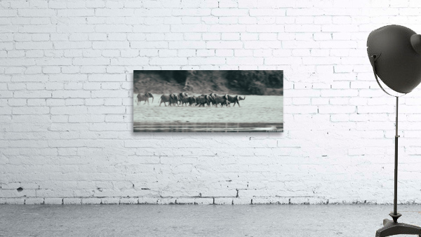 Elephant Stampede Wall Preview