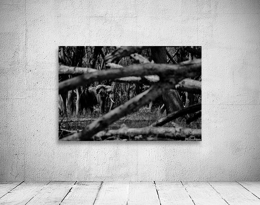 Elephant Abstract Wall Preview