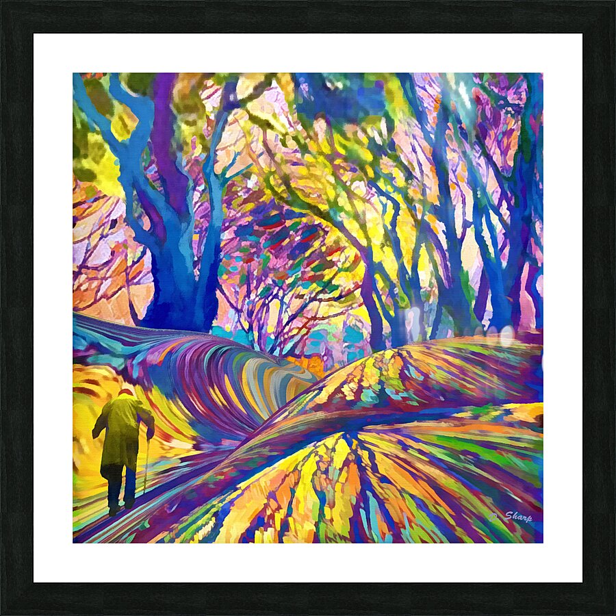 Sunset Walk Picture Frame print