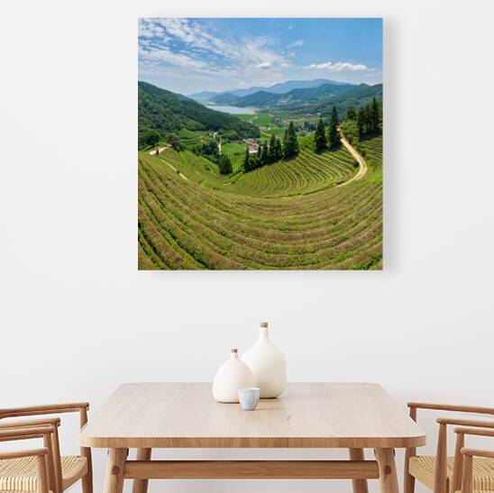 Green Tea plantation in Boseong town in Jeollanamdo province of South Korea by Mirko Kuzmanovic