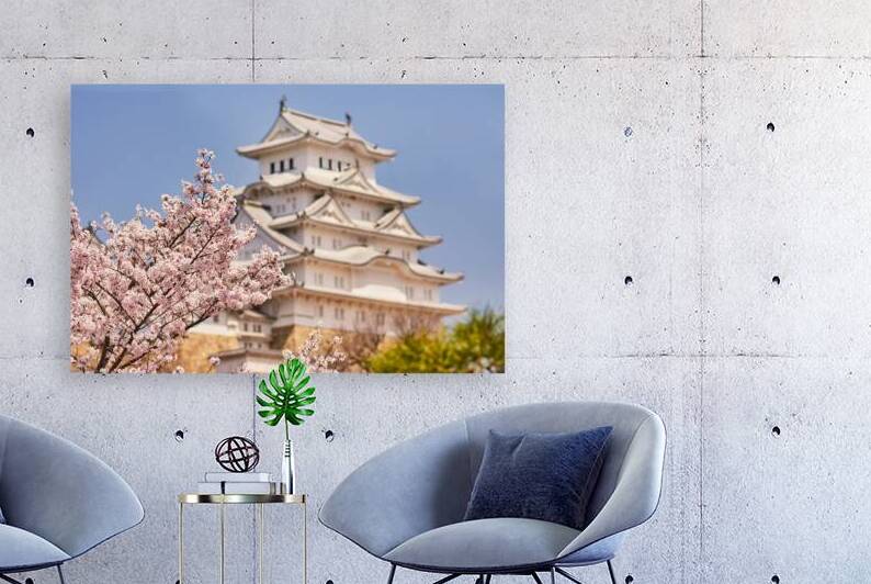 Himeji castle during the cherry blossom sakura season by Mirko Kuzmanovic