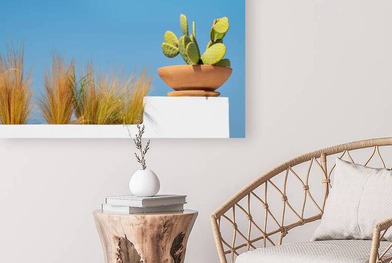 Cactus in Terracotta Pot on White Wall by Mirko Kuzmanovic